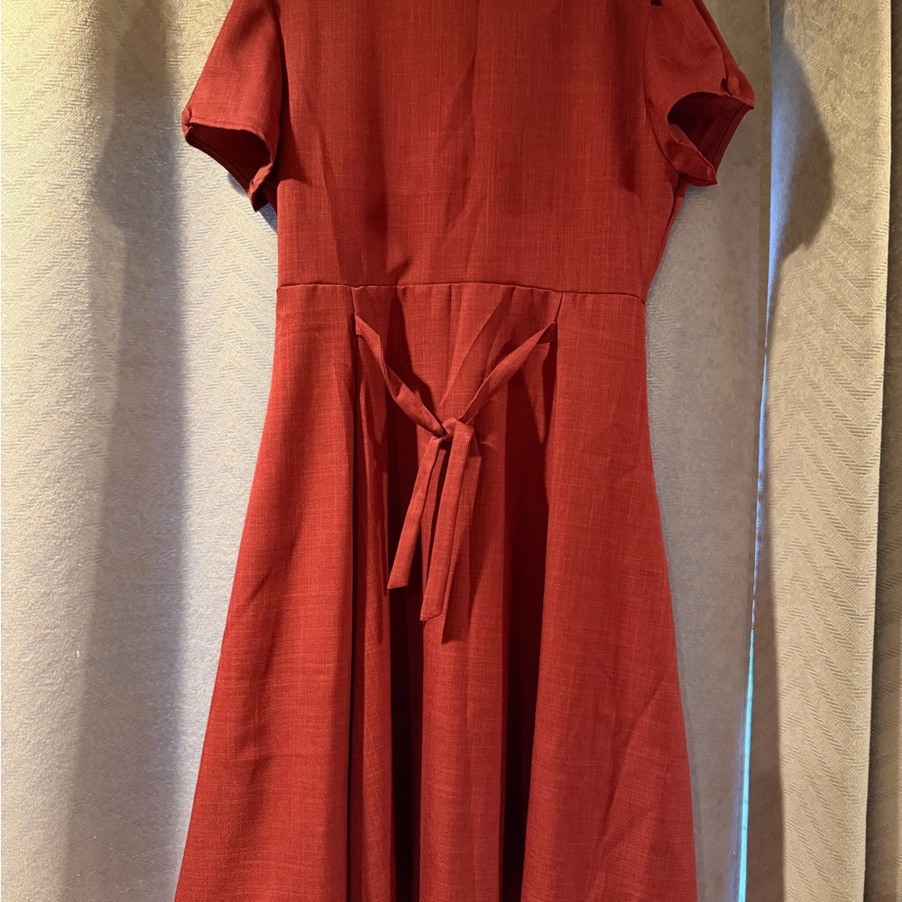 Chic Rust Midi Dress - Picture 2 of 3